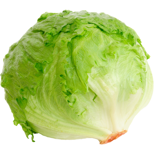 A lettuce